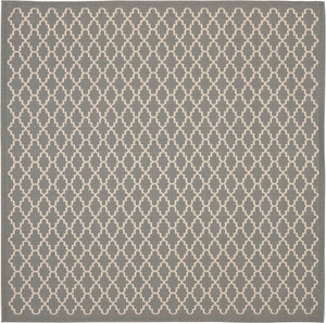 Safavieh Courtyard Cy6919 24 Power Loomed Rug