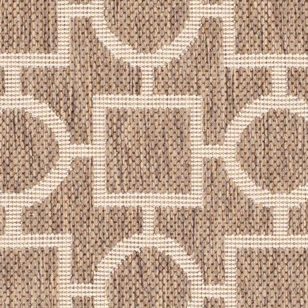 Safavieh Courtyard Cy6925 26 Power Loomed Rug