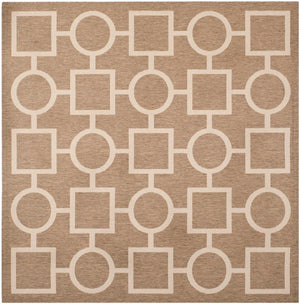 Safavieh Courtyard Cy6925 26 Power Loomed Rug