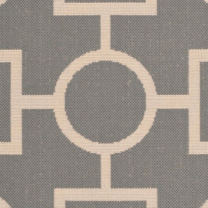 Safavieh Courtyard Cy6925 26 Power Loomed Rug