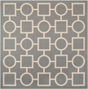 Safavieh Courtyard Cy6925 26 Power Loomed Rug