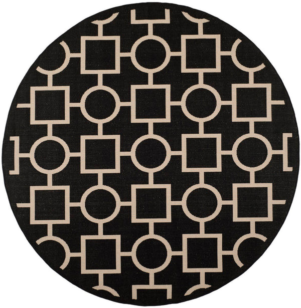 Safavieh Courtyard Cy6925 26 Power Loomed Rug