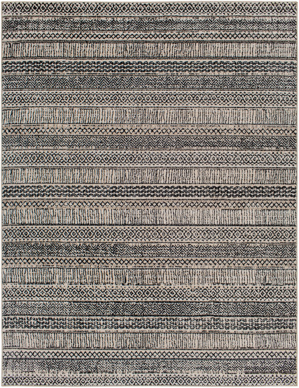 Surya Cozy Global CZY-2305 Rug CZY2305-9212