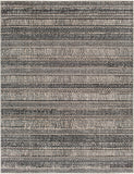 Surya Cozy Global CZY-2305 Rug CZY2305-9212