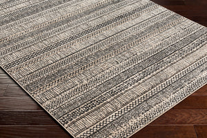 Surya Cozy Global CZY-2305 Rug CZY2305-9212