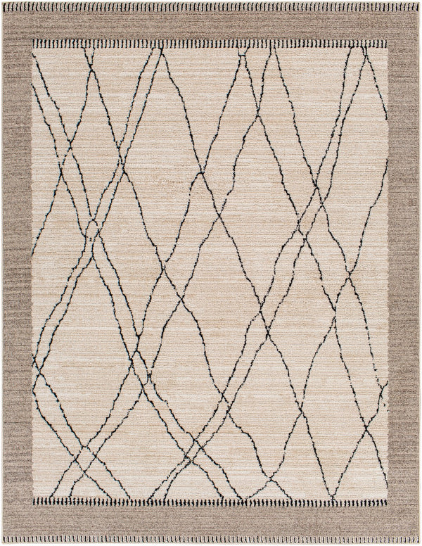 Surya Cozy Global CZY-2306 Rug CZY2306-9212