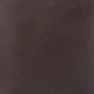 Zuo Modern Zoco 100% Polyurethane, Plywood, Steel Modern Commercial Grade Accent Chair Espresso, Gold 100% Polyurethane, Plywood, Steel