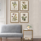 Herbal Botany Transitional 4Pc 16X20 Framed Linen Canvas Set