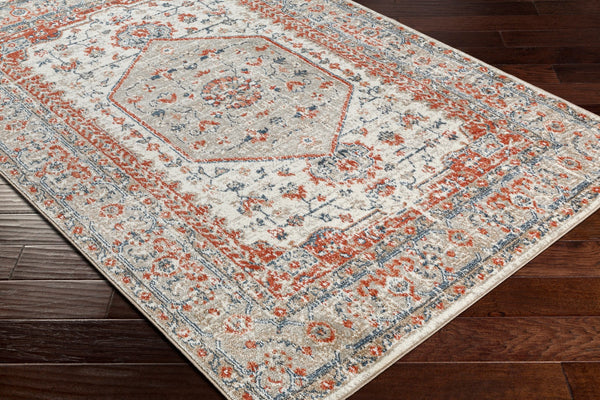 Surya Davaro Traditional DAV-2306 Rug DAV2306-9212
