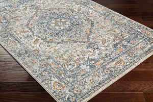 Surya Davaro Traditional DAV-2308 Rug DAV2308-9212