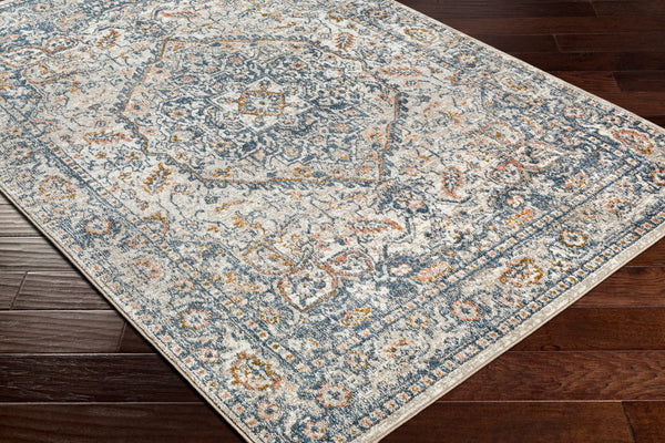 Surya Davaro Traditional DAV-2308 Rug DAV2308-9212