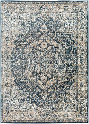 Surya Davaro Traditional DAV-2310 Rug DAV2310-9212