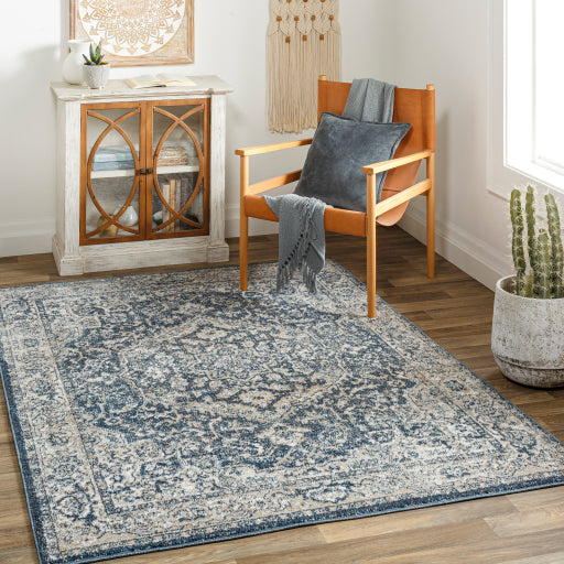 Surya Davaro Traditional DAV-2310 Rug DAV2310-9212