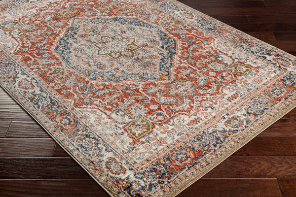 Surya Davaro Traditional DAV-2311 Rug DAV2311-9212