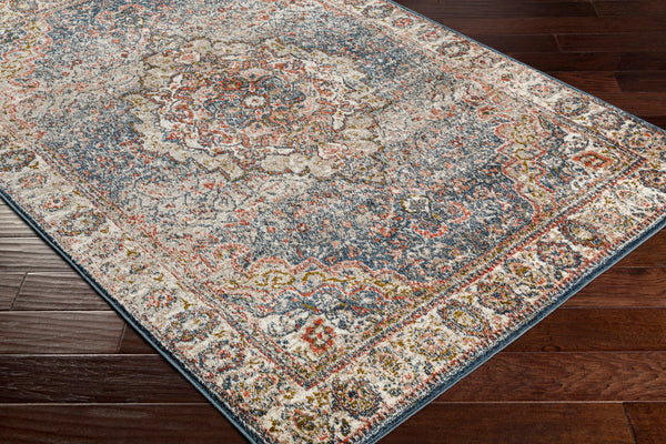 Surya Davaro Traditional DAV-2312 Rug DAV2312-9212