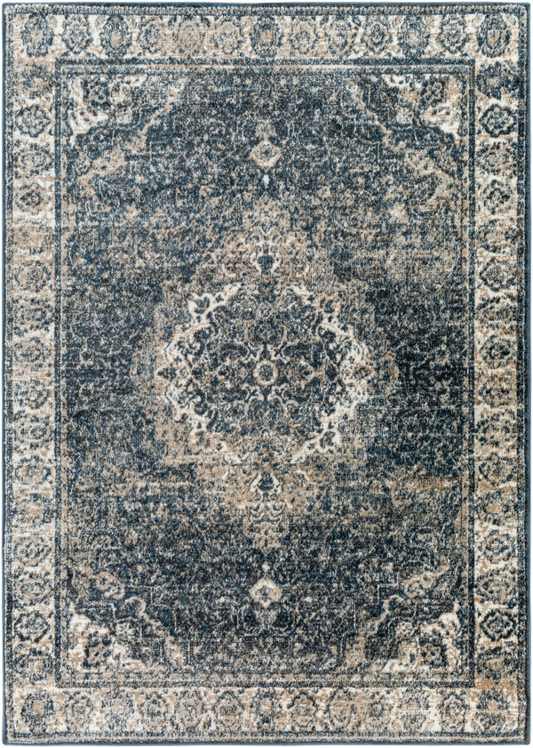 Surya Davaro Traditional DAV-2314 Rug DAV2314-9212