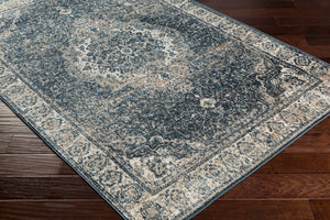 Surya Davaro Traditional DAV-2314 Rug DAV2314-9212