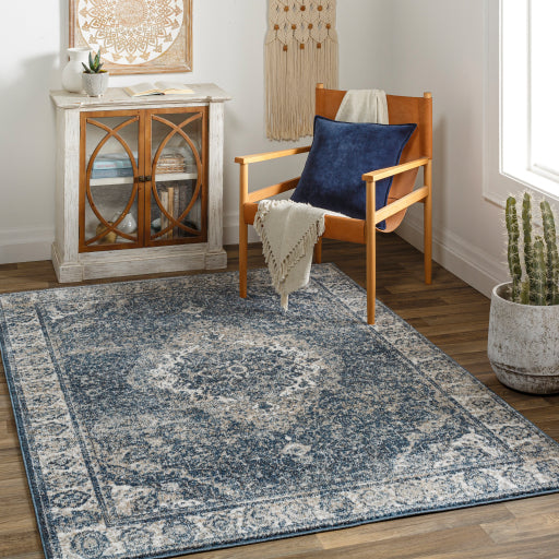 Surya Davaro Traditional DAV-2314 Rug DAV2314-9212