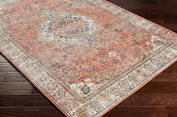Surya Davaro Traditional DAV-2315 Rug DAV2315-9212
