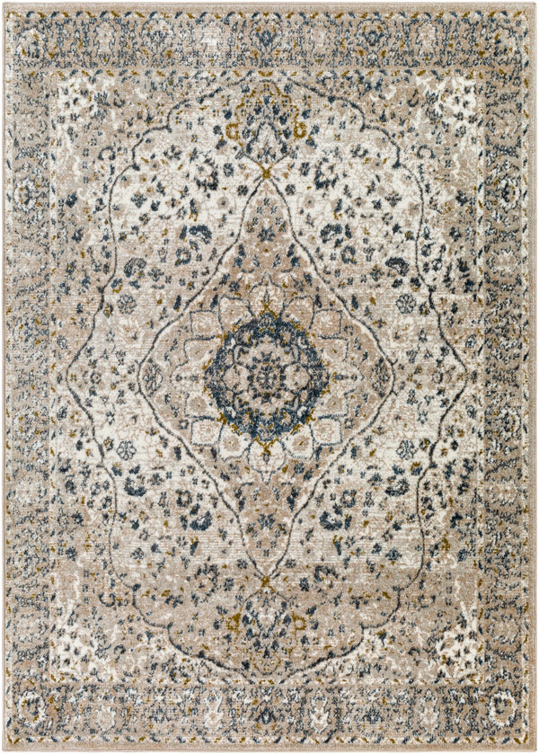 Surya Davaro Traditional DAV-2318 Rug DAV2318-9212