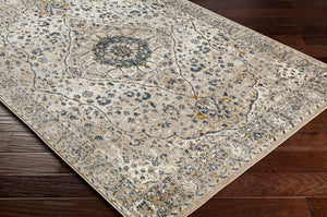 Surya Davaro Traditional DAV-2318 Rug DAV2318-9212