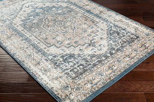Surya Davaro Traditional DAV-2319 Rug DAV2319-9212