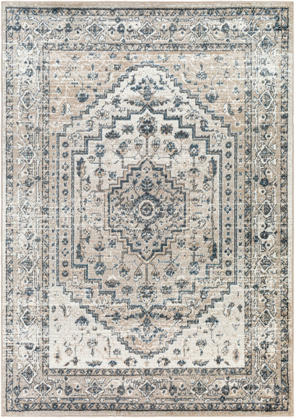 Surya Davaro Traditional DAV-2320 Rug DAV2320-9212