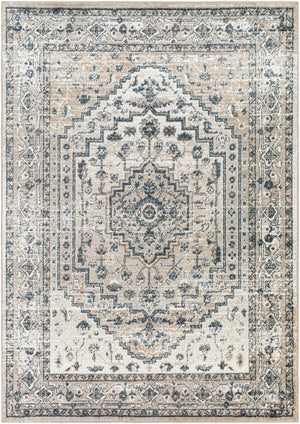 Surya Davaro Traditional DAV-2320 Rug DAV2320-9212