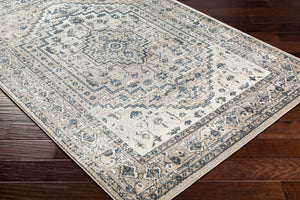 Surya Davaro Traditional DAV-2320 Rug DAV2320-9212