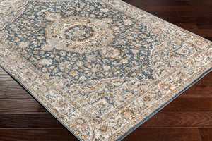 Surya Davaro Traditional DAV-2325 Rug DAV2325-9212