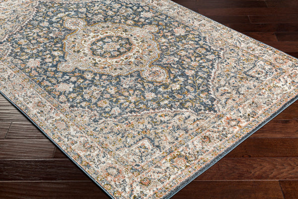 Surya Davaro Traditional DAV-2325 Rug DAV2325-9212