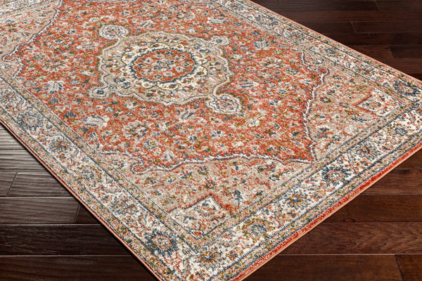 Surya Davaro Traditional DAV-2327 Rug DAV2327-9212