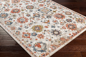 Surya Davaro Traditional DAV-2329 Rug DAV2329-9212