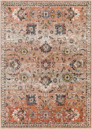 Surya Davaro Traditional DAV-2333 Rug DAV2333-9212