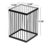 Ismay Contemporary Handcrafted Cage Side Table with Glass Top, Black and Clear Noble House