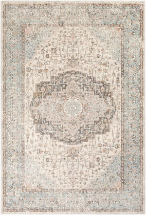 Dryden DDN-2307 Traditional Polypropylene, Polyester Rug DDN2307-912 Pale Blue, Taupe, Khaki, Medium Gray, Charcoal, Camel, Pale Pink, Denim 85% Polypropylene, 15% Polyester 9' x 12'