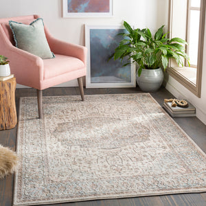 Dryden DDN-2307 Traditional Polypropylene, Polyester Rug DDN2307-912 Pale Blue, Taupe, Khaki, Medium Gray, Charcoal, Camel, Pale Pink, Denim 85% Polypropylene, 15% Polyester 9' x 12'