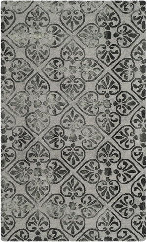 Safavieh Dip Dye 101 Hand Tufted Wool Rug DDY101A-3