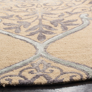 Safavieh Dip Dye 510 Hand Tufted Wool/Silk Rug DDY510A-3