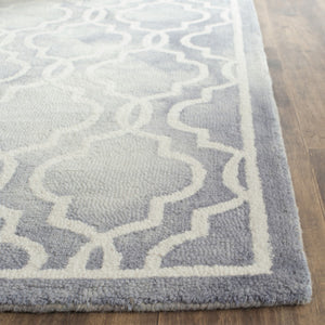 Safavieh Dip Dye 539 Hand Tufted Wool Rug DDY539C-3
