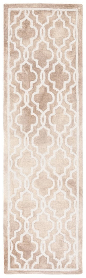 Safavieh Dip Dye 539 Hand Tufted Wool Rug DDY539G-3