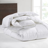 Croscill Signature Modern/Contemporary 100% Cotton Comforter CC10-0018