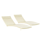 Salem Outdoor Chaise Lounge Cushion
