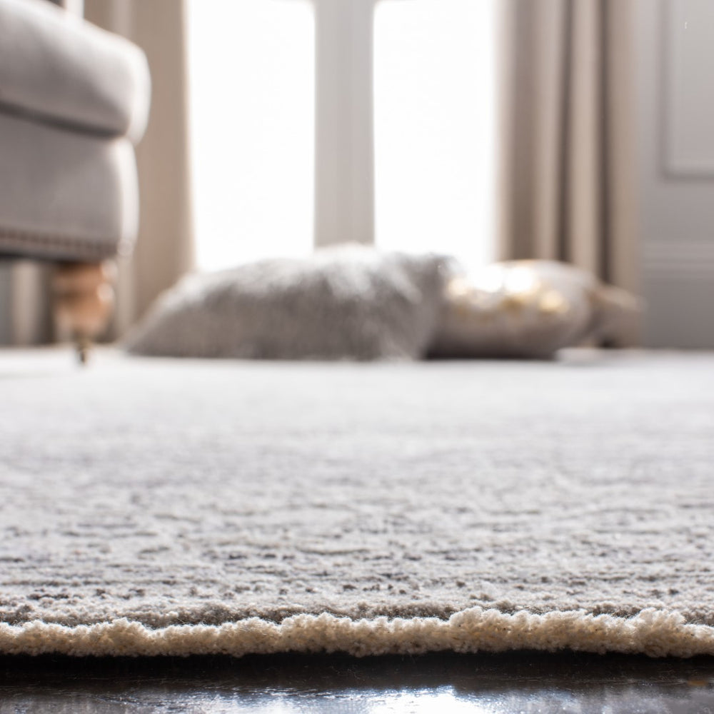 Safavieh Dream DRM412 Power Loomed Rug