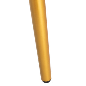 Safavieh Jorja 1 Drawer 1 Shelf Desk in Black and Gold DSK2200B 889048734845