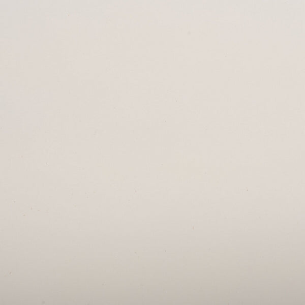 Kamy 2 Shelf Leaning Desk White Wood DSK9401B