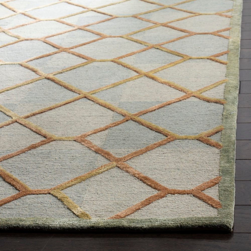 Safavieh Nepalese DVE473 Hand Knotted Rug