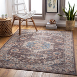 Daytona Beach DYT-2305 Traditional Polyester, Polypropylene Rug DYT2305-81012 Dark Brown, Taupe, Beige, Light Gray, Medium Gray, Sky Blue, Burnt Orange, Wheat, Charcoal, Rose, Cream 92% Polyester, 8% Polypropylene 8'10" x 12'