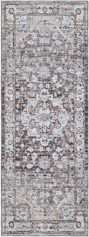 Daytona Beach DYT-2311 Traditional Polyester, Polypropylene Rug DYT2311-2773 Light Gray, Charcoal, Medium Gray, Burnt Orange, Beige, Cream, Sky Blue, Wheat, Taupe, Rose 92% Polyester, 8% Polypropylene 2'7" x 7'3"