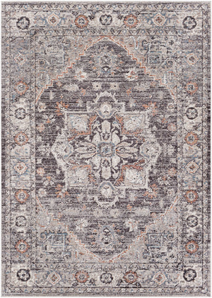 Daytona Beach DYT-2311 Traditional Polyester, Polypropylene Rug DYT2311-81012 Light Gray, Charcoal, Medium Gray, Burnt Orange, Beige, Cream, Sky Blue, Wheat, Taupe, Rose 92% Polyester, 8% Polypropylene 8'10" x 12'